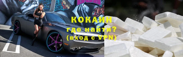 тгк Богданович