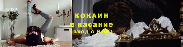тгк Богданович
