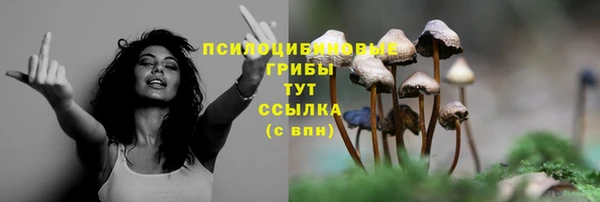 экстази Богородицк