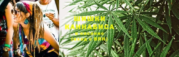 тгк Богданович