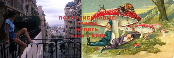 тгк Богданович