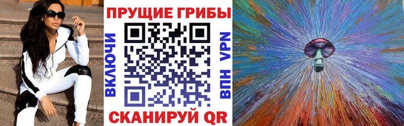 KRAKEN ссылки  Самара  Галлюциногенные грибы ЛСД 